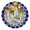 Blue Goba Magic Mushroom online in California.